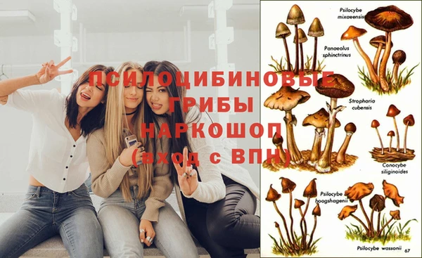 ALPHA PVP Верхний Тагил
