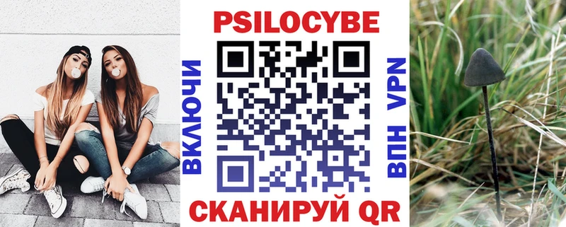 Псилоцибиновые грибы мицелий  Купить  Белинский 